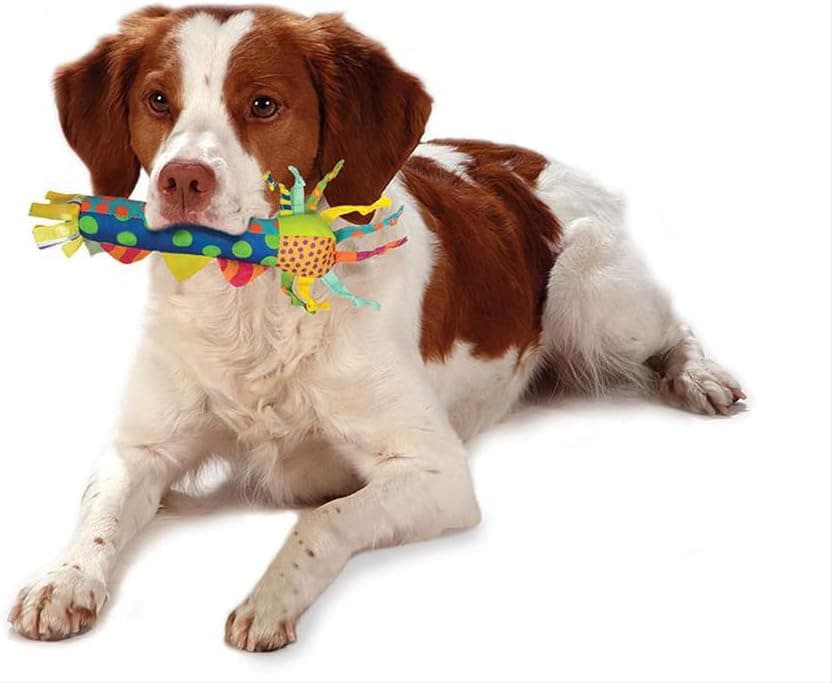 Cool Teething Stick Dental Dog Chew Toy, Soak & Freeze, 8.5" | Massages Gums, Cooling & Crunchy When Frozen, Multi-Textured, Toss & Fetch, Moderate Chewers, Small Dogs & Teething Puppies product image 4