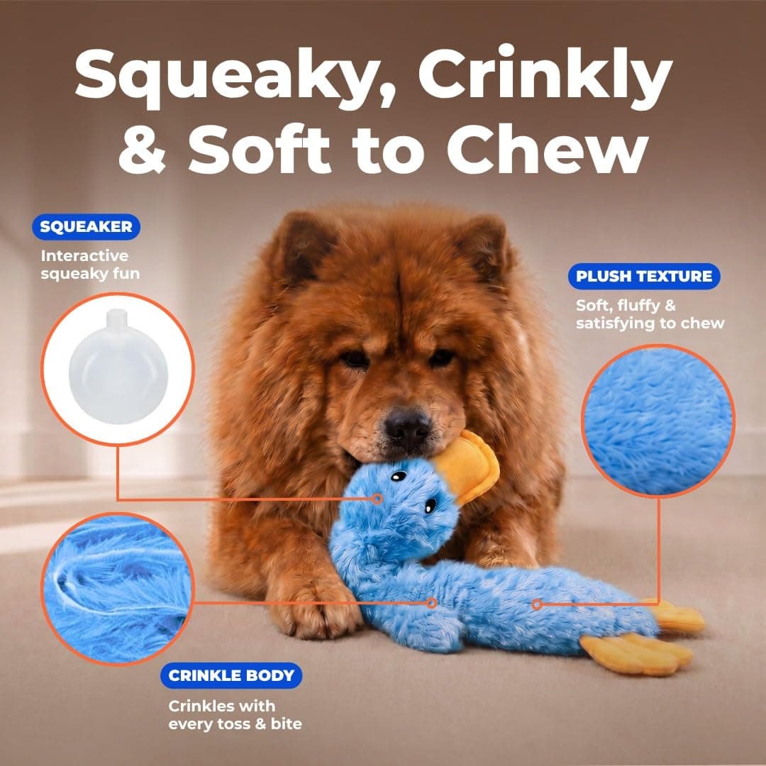 Best Pet Supplies Interactive Squeaky Dog Toy - Crinkle Duck, Blue product image 3