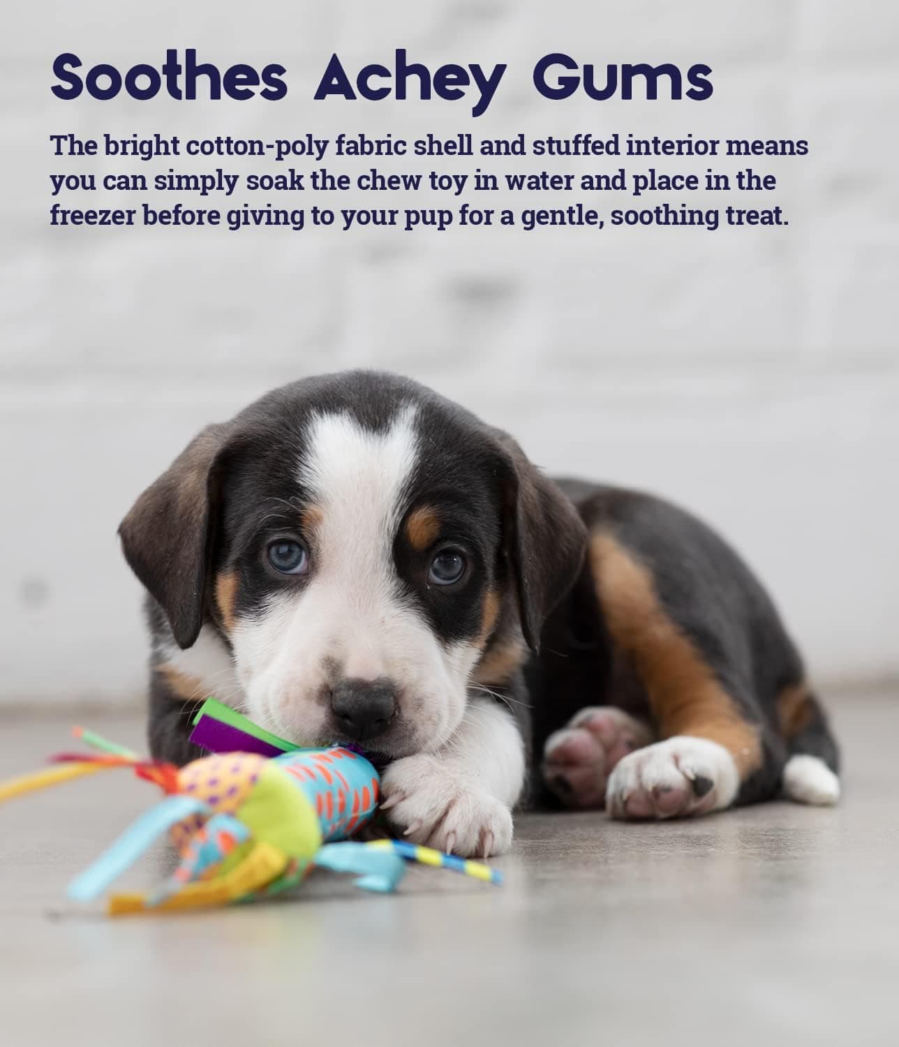 Cool Teething Stick Dental Dog Chew Toy, Soak & Freeze, 8.5" | Massages Gums, Cooling & Crunchy When Frozen, Multi-Textured, Toss & Fetch, Moderate Chewers, Small Dogs & Teething Puppies product image 3