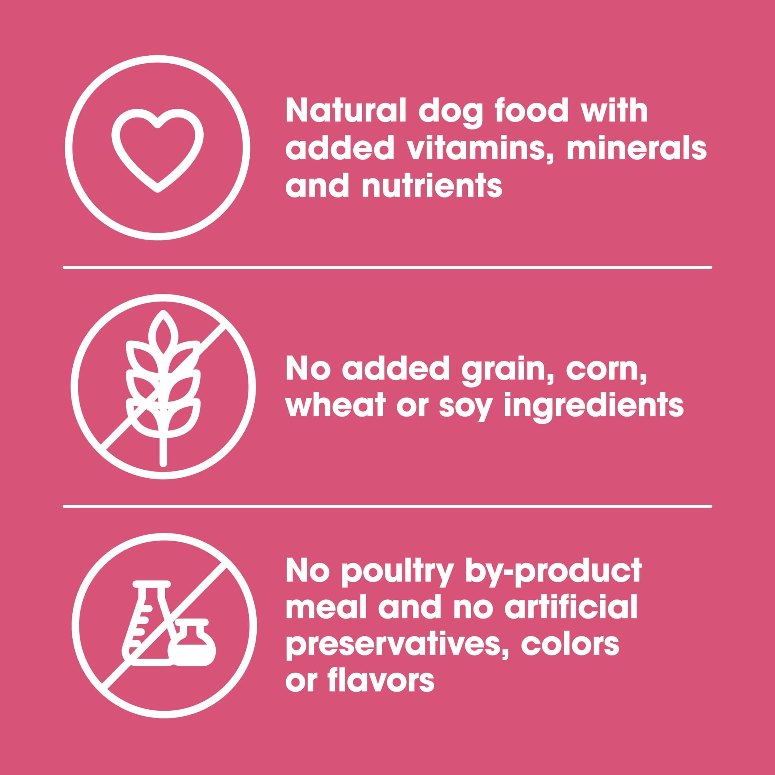 Nature's Recipe Grain Free Salmon Dry Dog Food, 24 lb. Bag product image 4