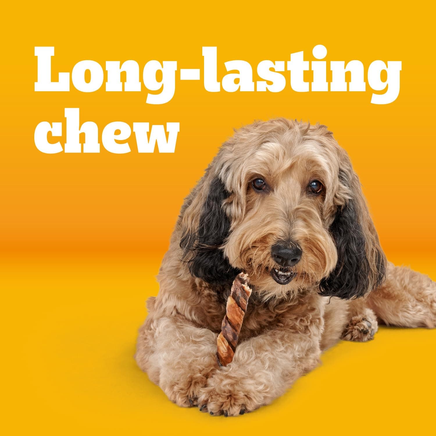 Pedigree Twisty Chews Medium/Large Dog Treats, Chicken & Beef, 16 Count product image 2
