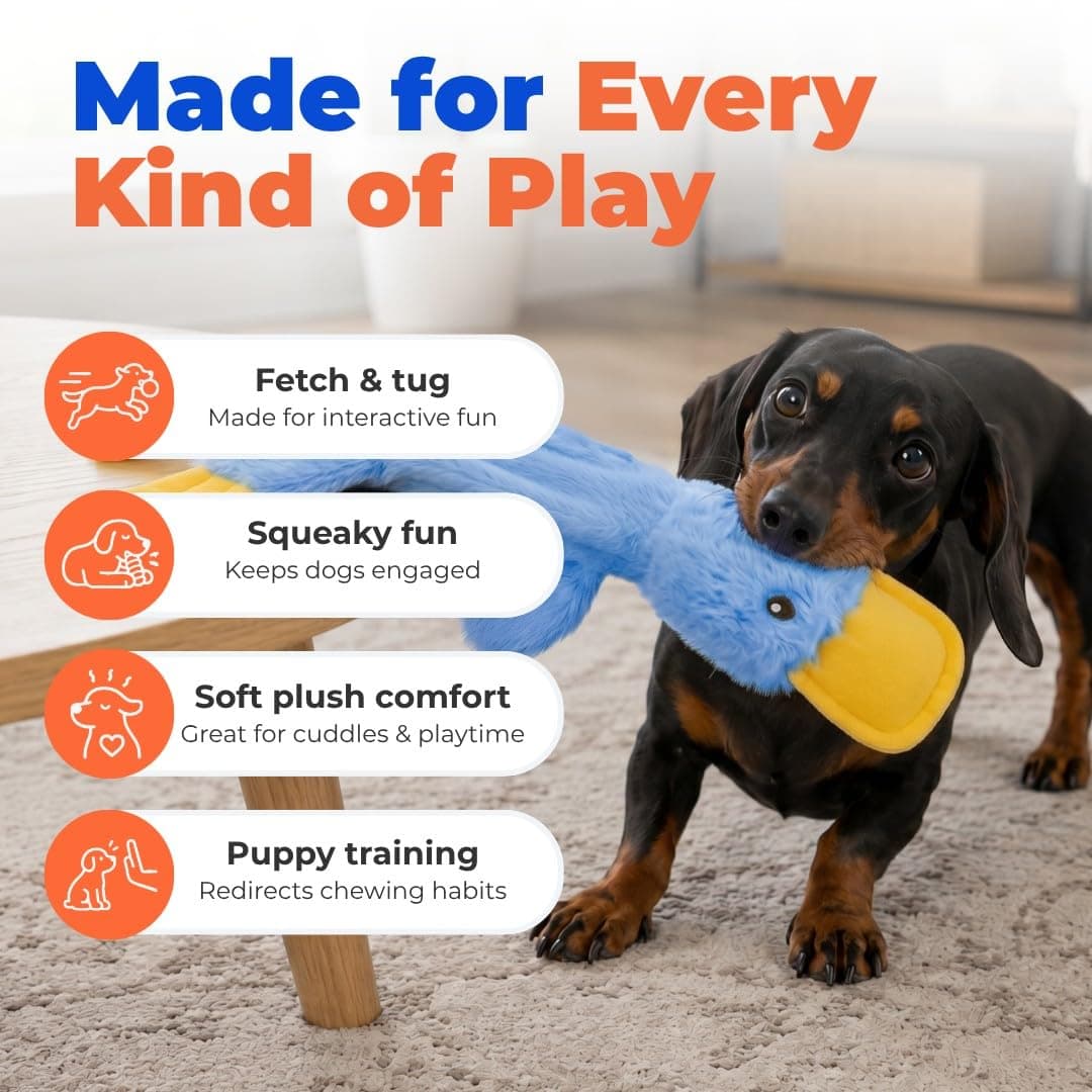 Best Pet Supplies Interactive Squeaky Dog Toy - Crinkle Duck, Blue product image 4