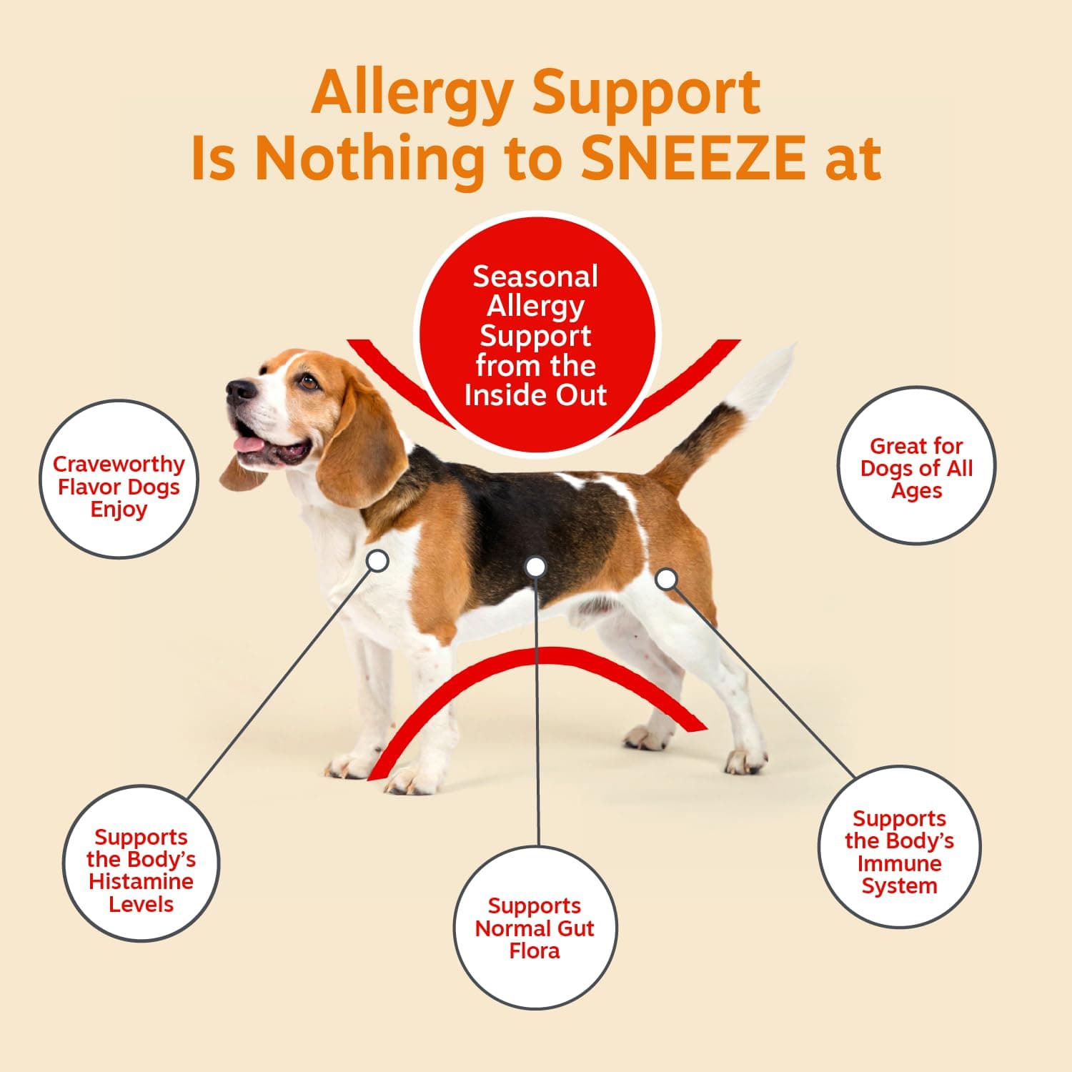 Zesty Paws Dog Allergy Chews - Dog Allergy Relief, Lamb, 90 Ct product image 3