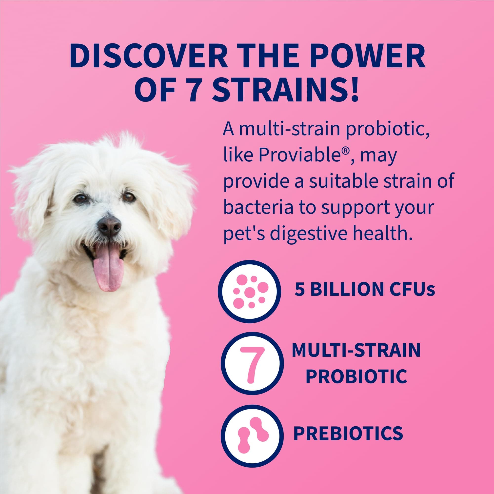 Nutramax Proviable Probiotics + Prebiotics, for Dogs & Cats, Capsules, 80ct product image 4