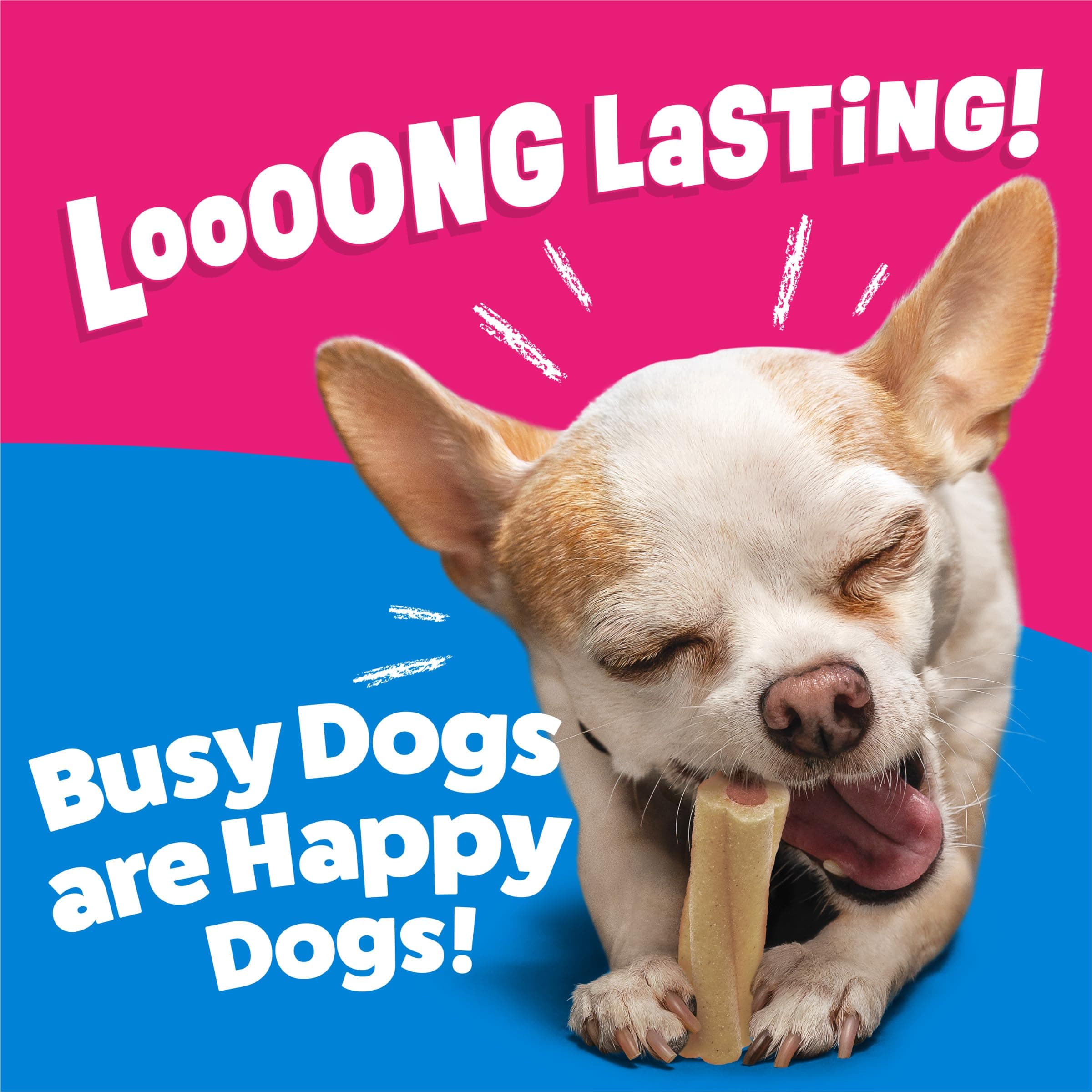 Purina Busy Bone Tiny Toy Breed Dog Chew Treats, Original, 60 ct Pouch product image 4