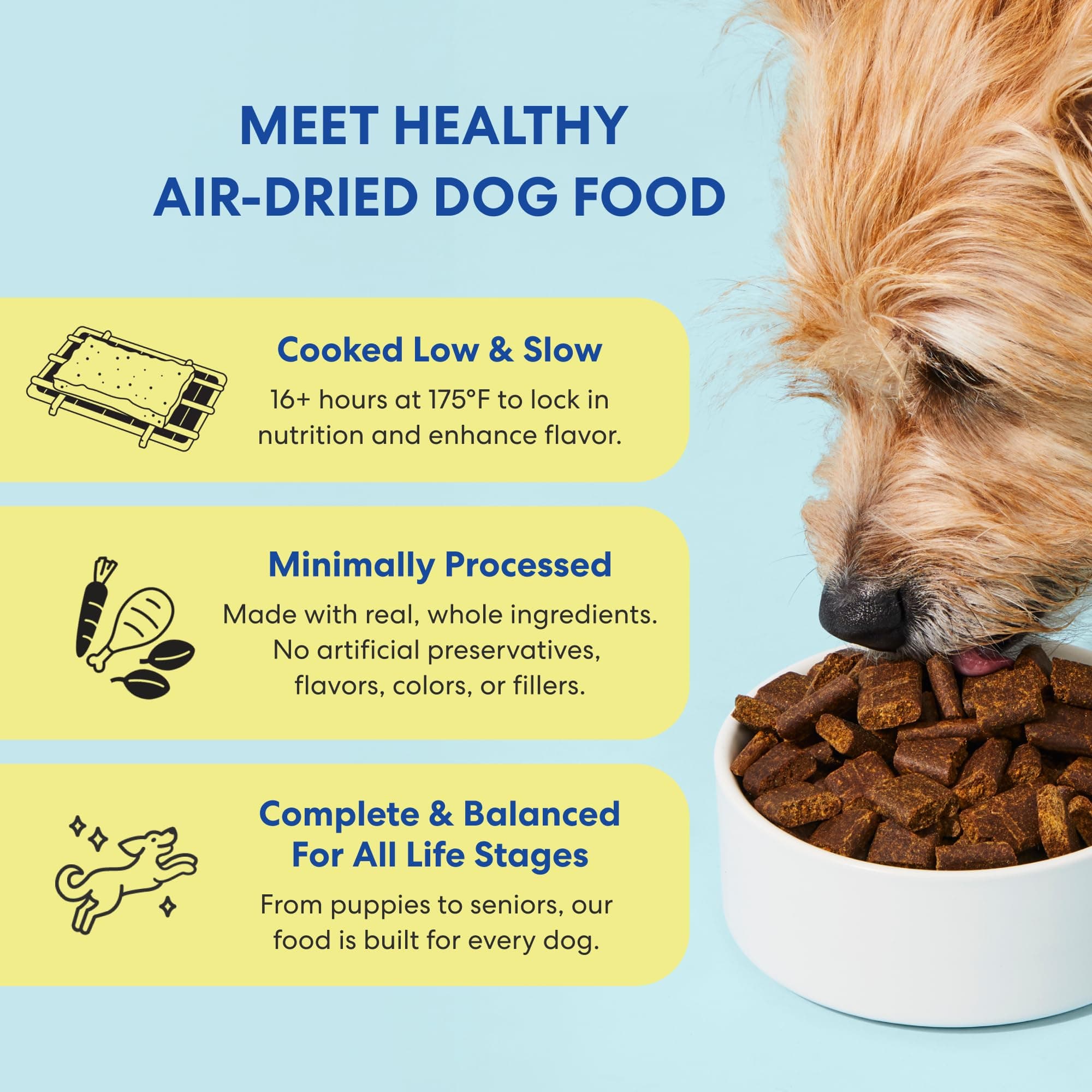 The Pets Table Air Dried Dog Food, Beef & Berries, 4.5 lb (72 Oz) product image 2