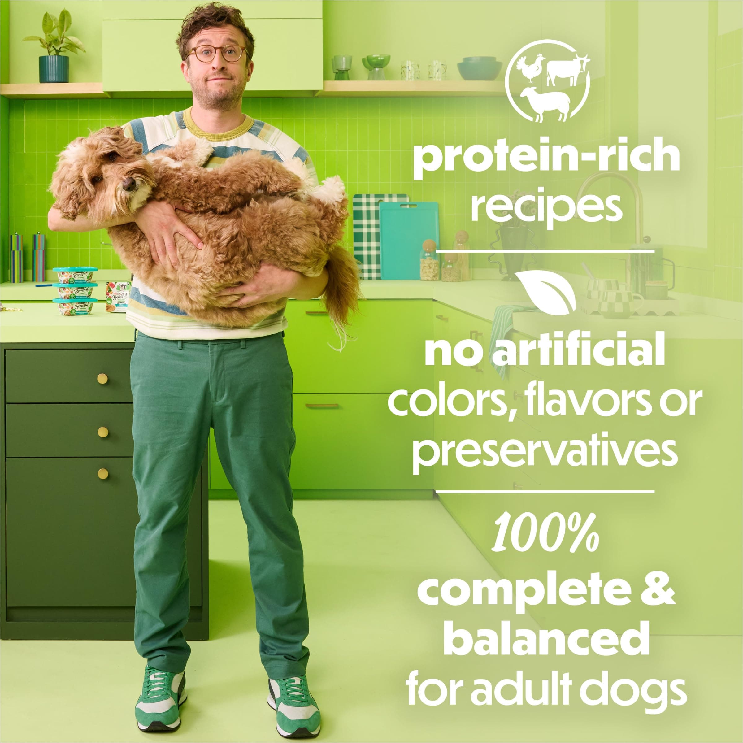 Purina Beneful Freshly Prepared Variety Wet Dog Food, Stew, (12) 10 oz Tubs product image 4