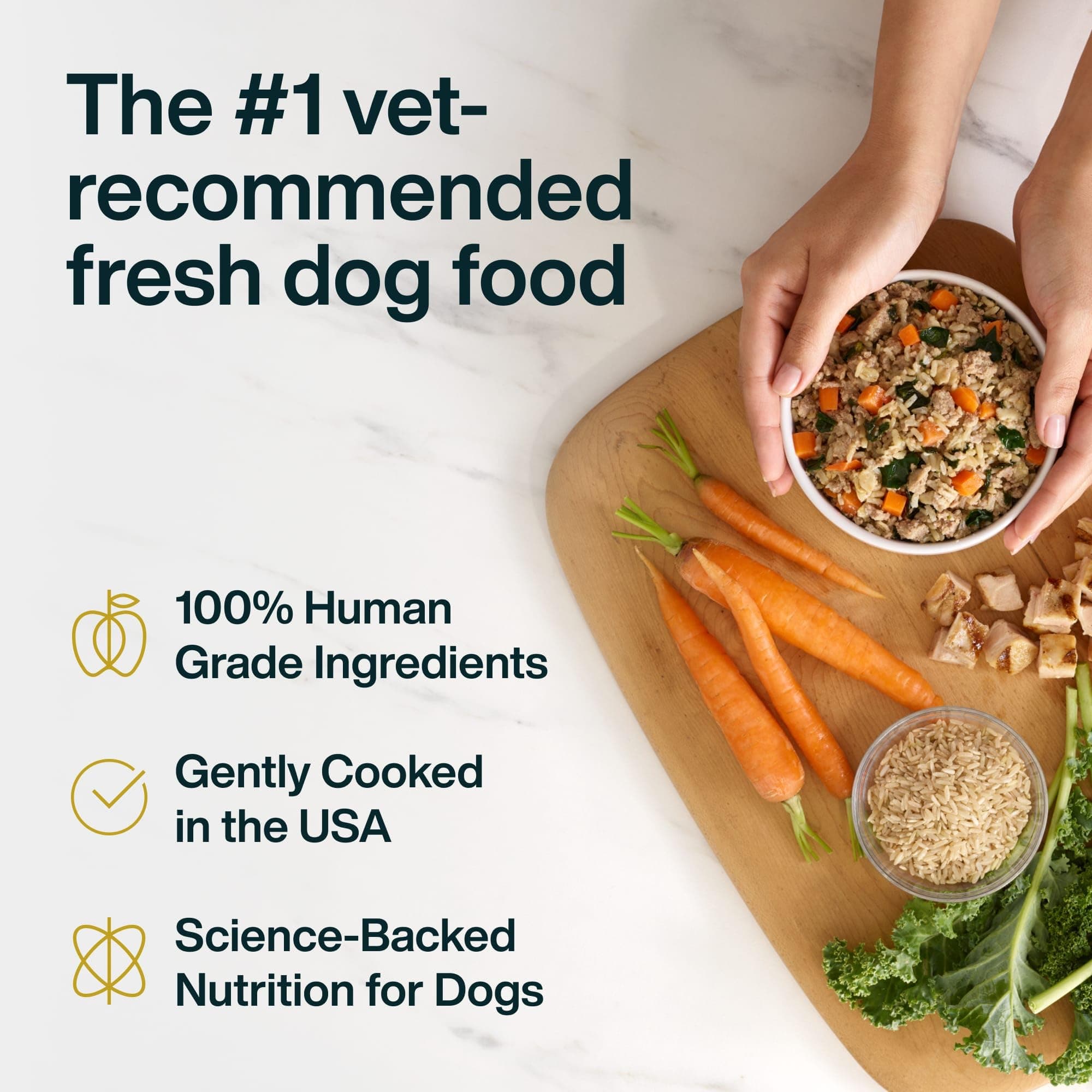 JustFoodForDogs JustFresh Fresh Wet Dog Food or Topper - Chicken, 7 Pack product image 4