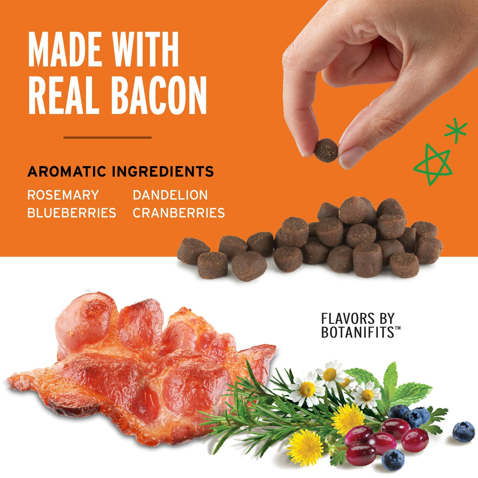 Pet Botanics Training Rewards Soft & Chewy, Bacon Flavor, 20 oz, 500 Treats product image 3