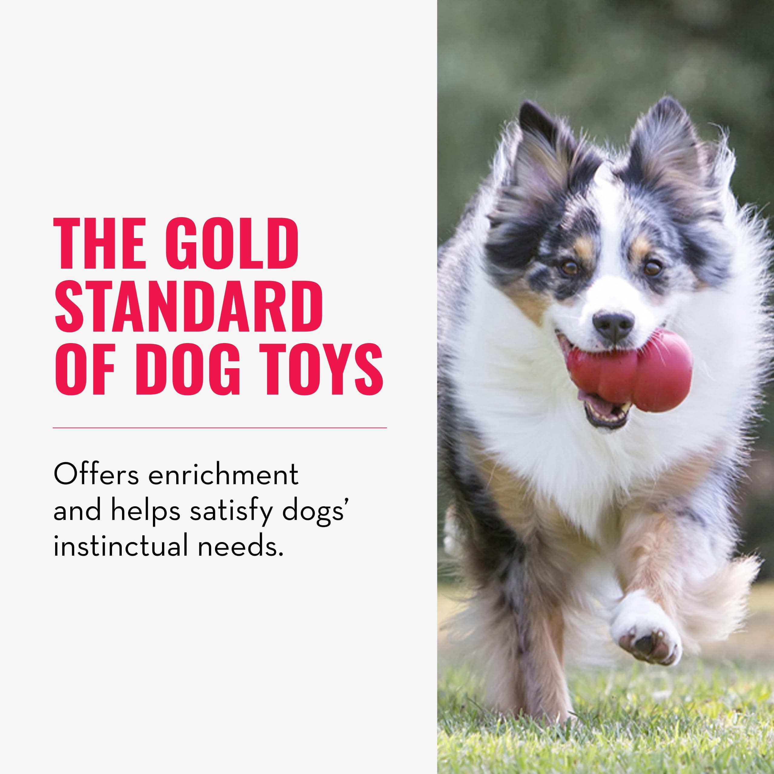 KONG Classic Stuffable Dog Toy, Natural Rubber Chew, for Large Dogs product image 4
