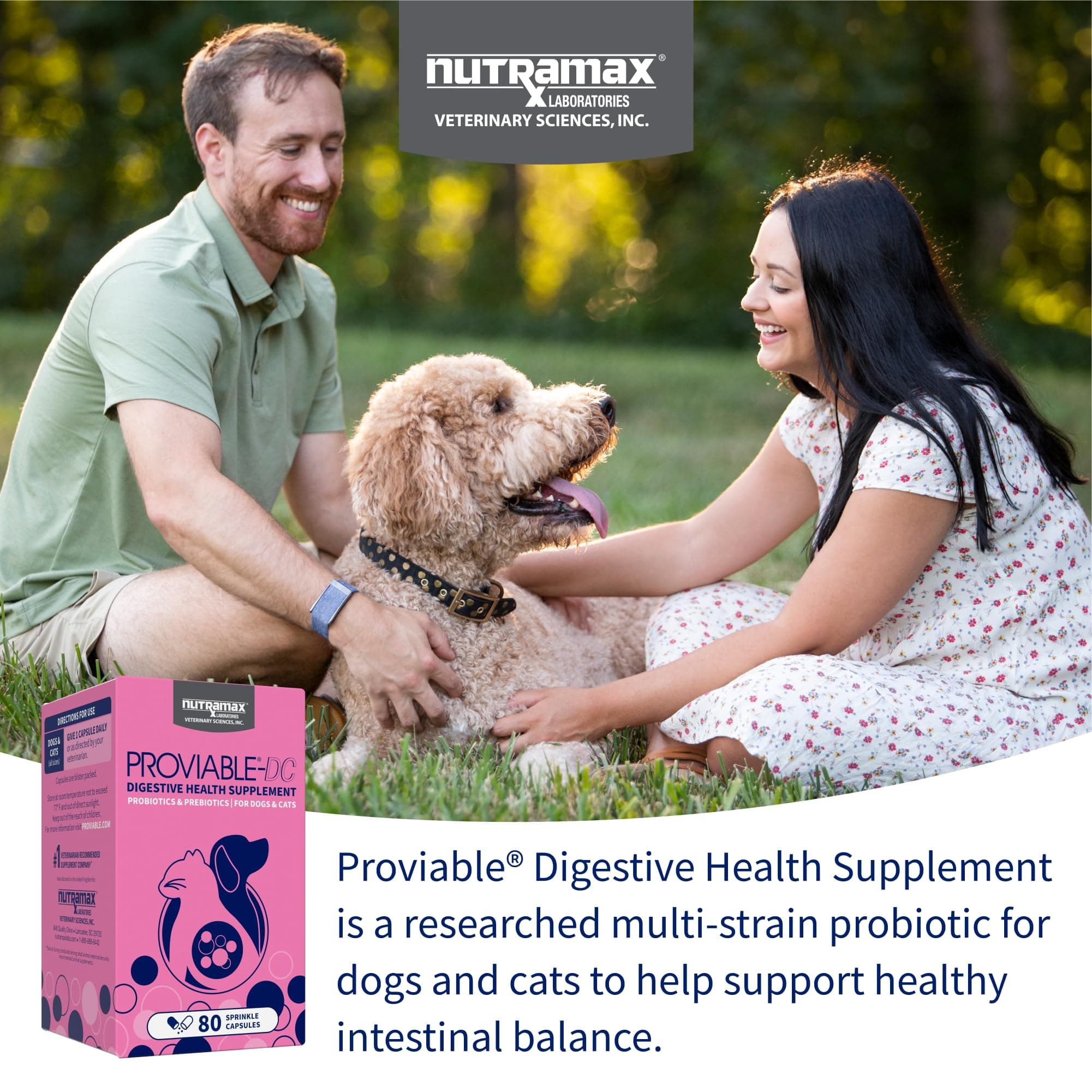 Nutramax Proviable Probiotics + Prebiotics, for Dogs & Cats, Capsules, 80ct product image 3