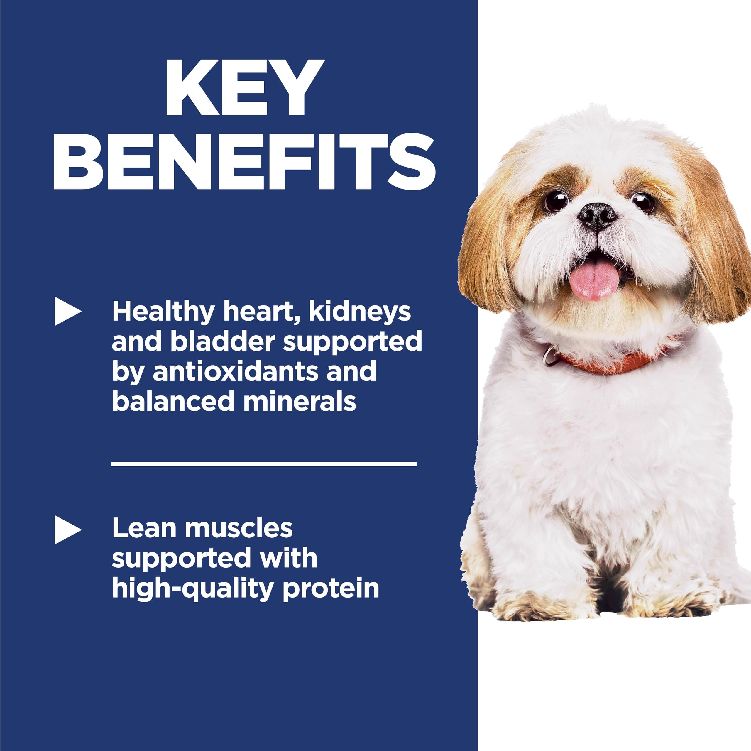 Hill's Science Diet Adult 7+ Small Bites Dry Dog Food product image 4