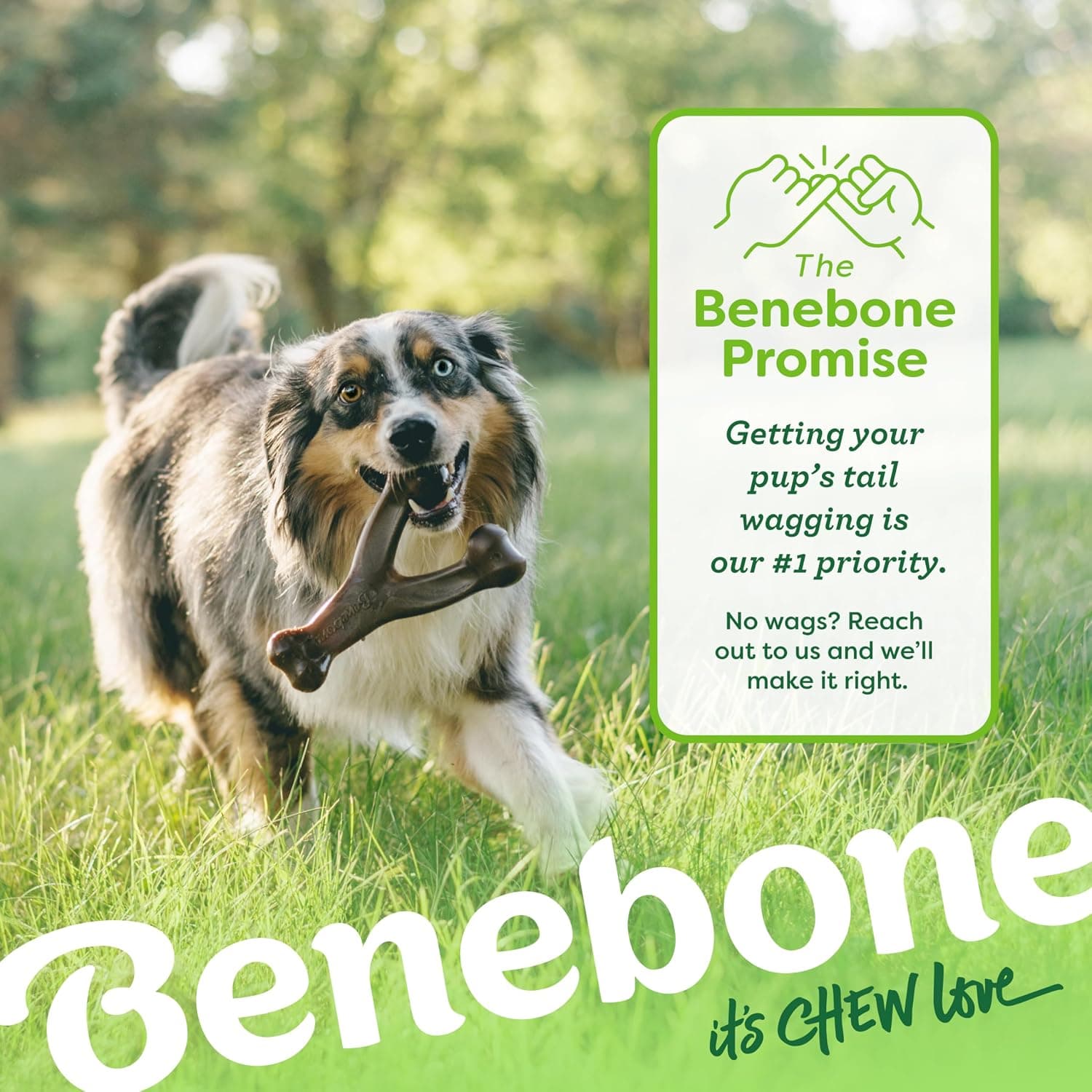 Benebone Wishbone Durable Dog Chew Toy for Aggressive Chewers, Real Bacon, Made in USA, Medium | Durable, Super Chewer, Made in USA, Dog Bones, Long-Lasting, A Size for Every Dog, Keeps Them Busy product image 4