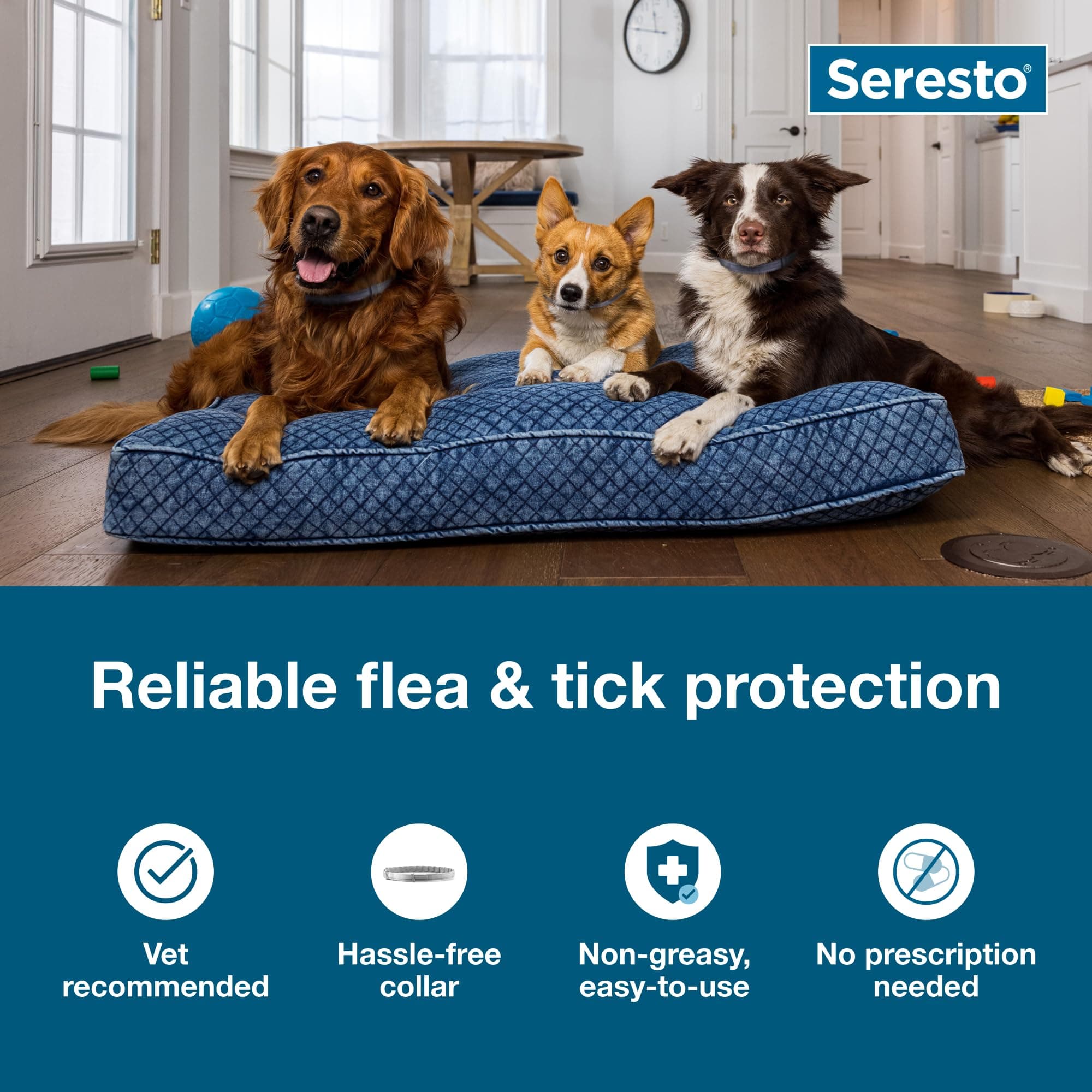 Seresto Flea & Tick Collar For Dogs Over 18 lbs., Treatment & Prevention, Vet-Recommend, 8 Month Protection product image 3