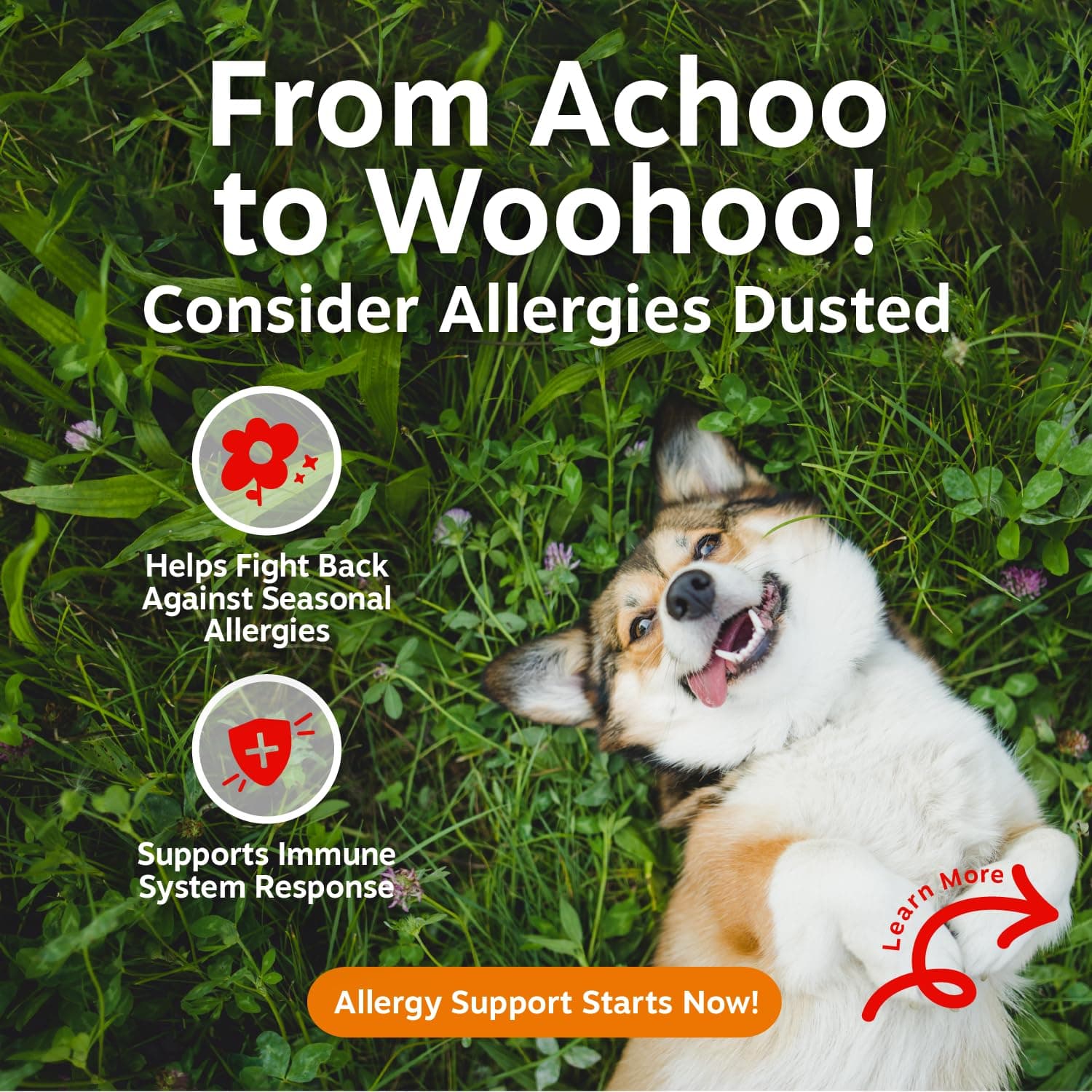 Zesty Paws Dog Allergy Chews - Dog Allergy Relief, Lamb, 90 Ct product image 2