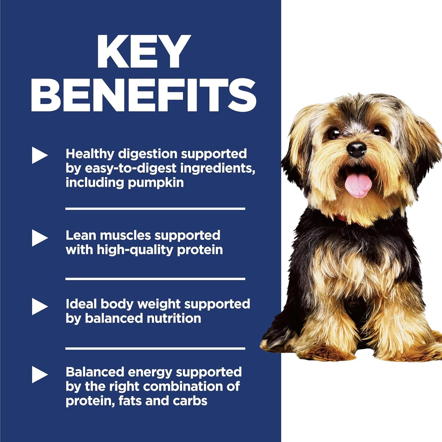Hill's Science Diet Adult 1-6 Small & Mini Dry Dog Food | #1 Veterinarian Recommended, Chicken & Brown Rice, 4.5 lb. Bag product image 2