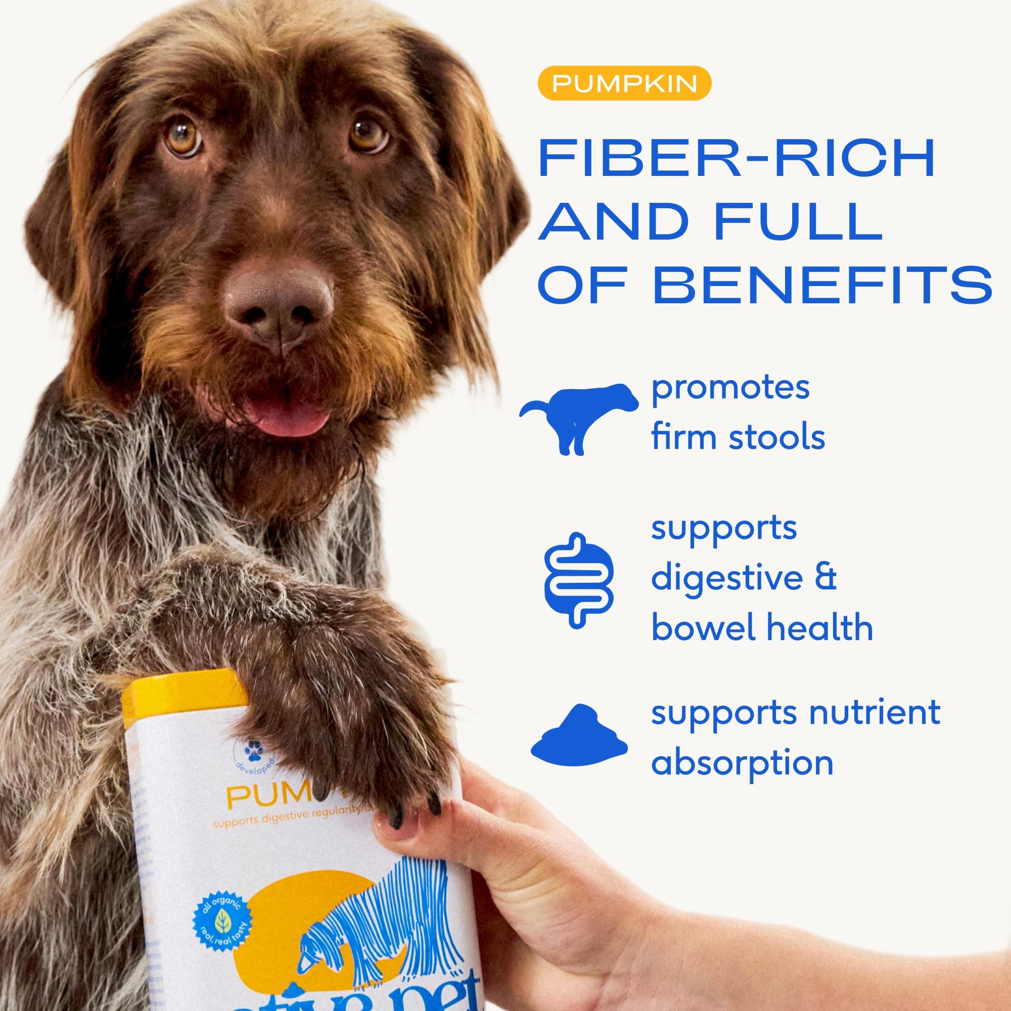 Native Pet Pumpkin for Dogs - Organic Dog Food Topper Powder - Promotes Firm Stools, Supports Digestive, Bowel Health & Nutrient Absorption - USDA Organic, Rich in Fiber with Real Pumpkin - 30 Scoops product image 2