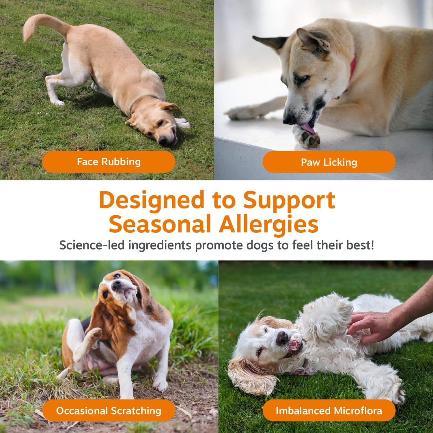 Zesty Paws Dog Allergy Chews - Dog Allergy Relief, Lamb, 90 Ct product image 4