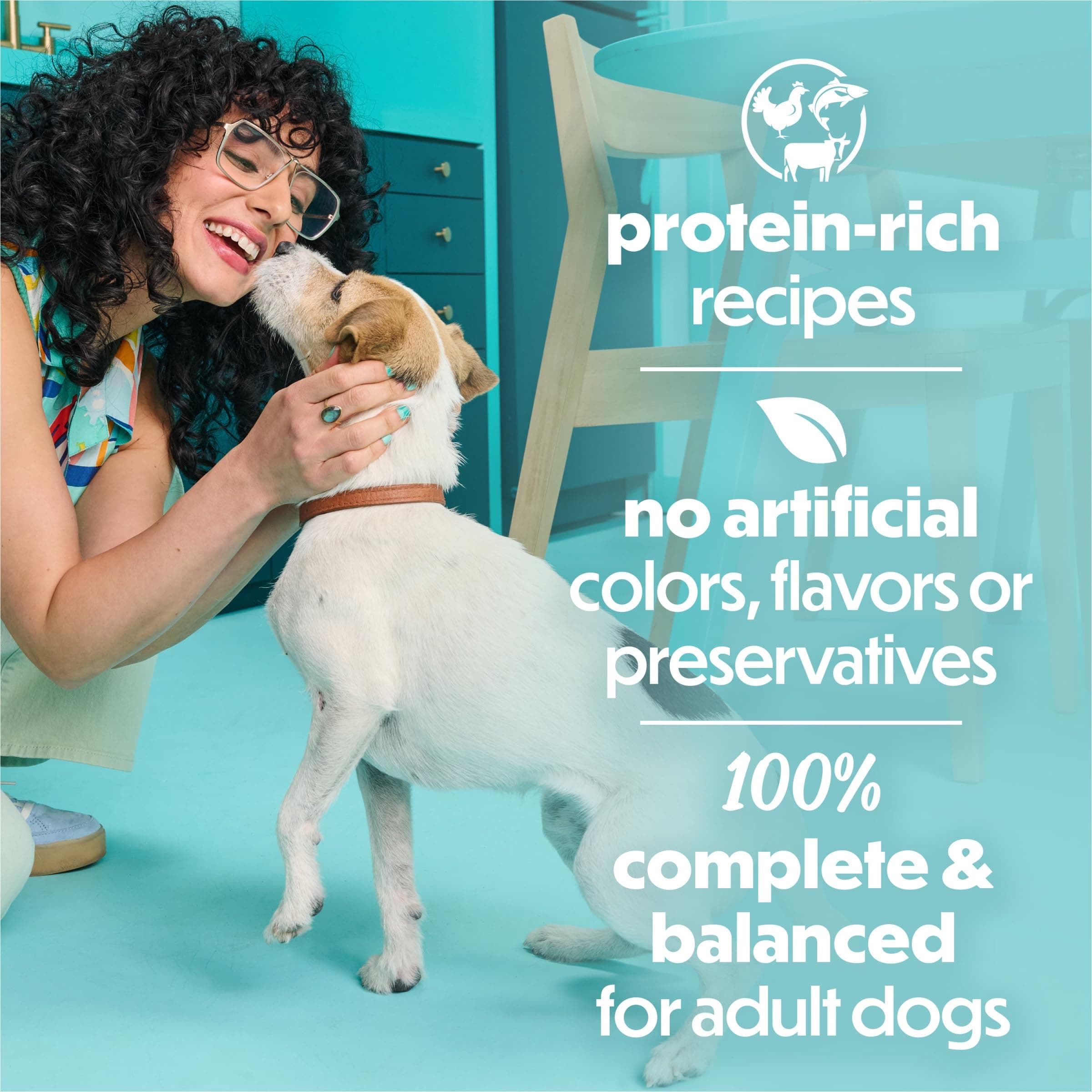 Purina Beneful Small Breed Wet Dog Food Variety Pack, (30) 3 oz Cans product image 3