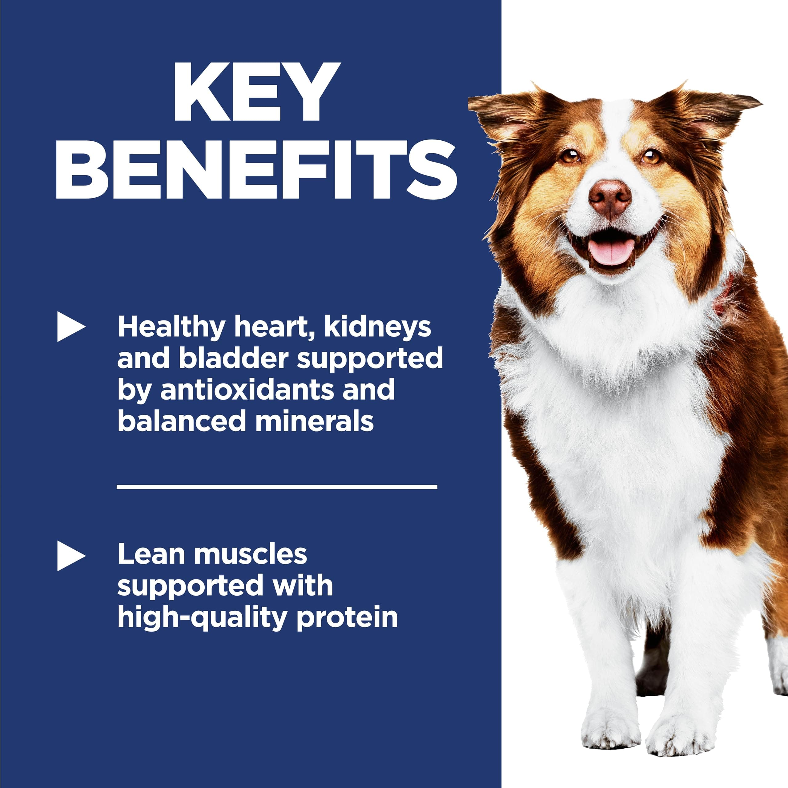 Hill's Science Diet Adult 7+ Dry Dog Food product image 4