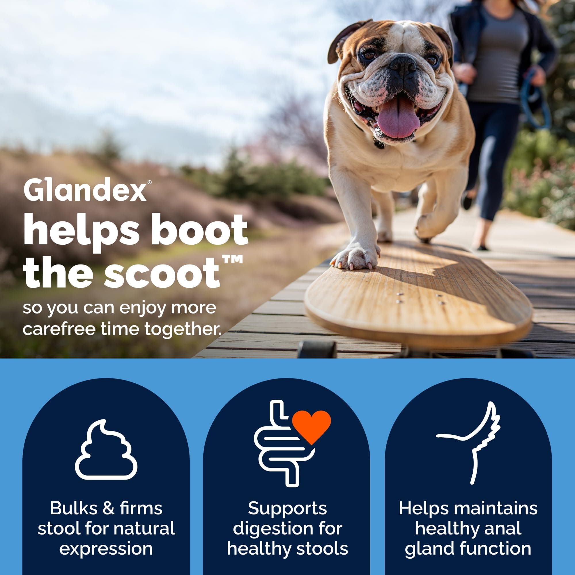 Vetnique Glandex for Dogs Anal Gland Chews 30ct Pumpkin + Digestive Enzymes product image 3