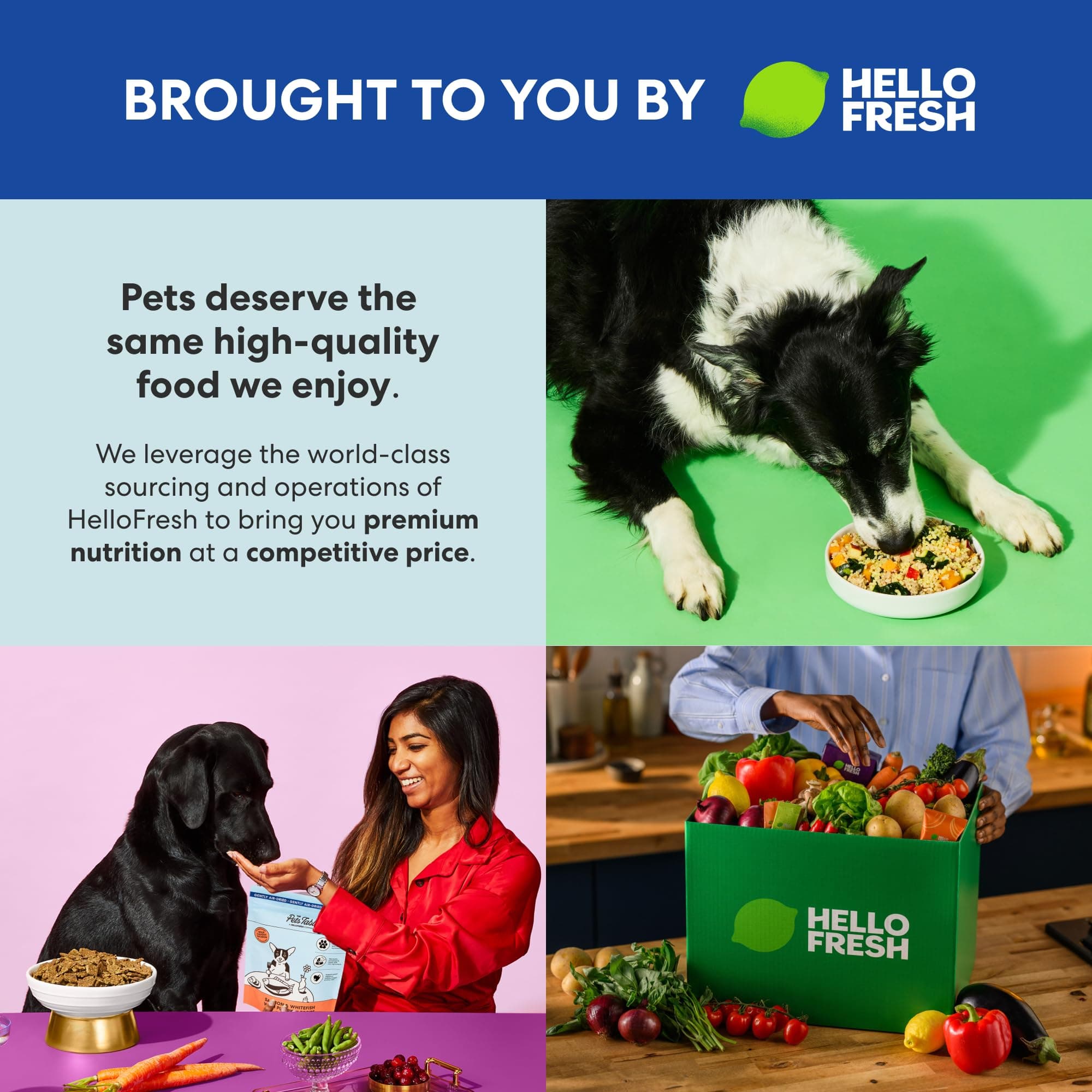 The Pets Table Air Dried Dog Food, Beef & Berries, 4.5 lb (72 Oz) product image 4