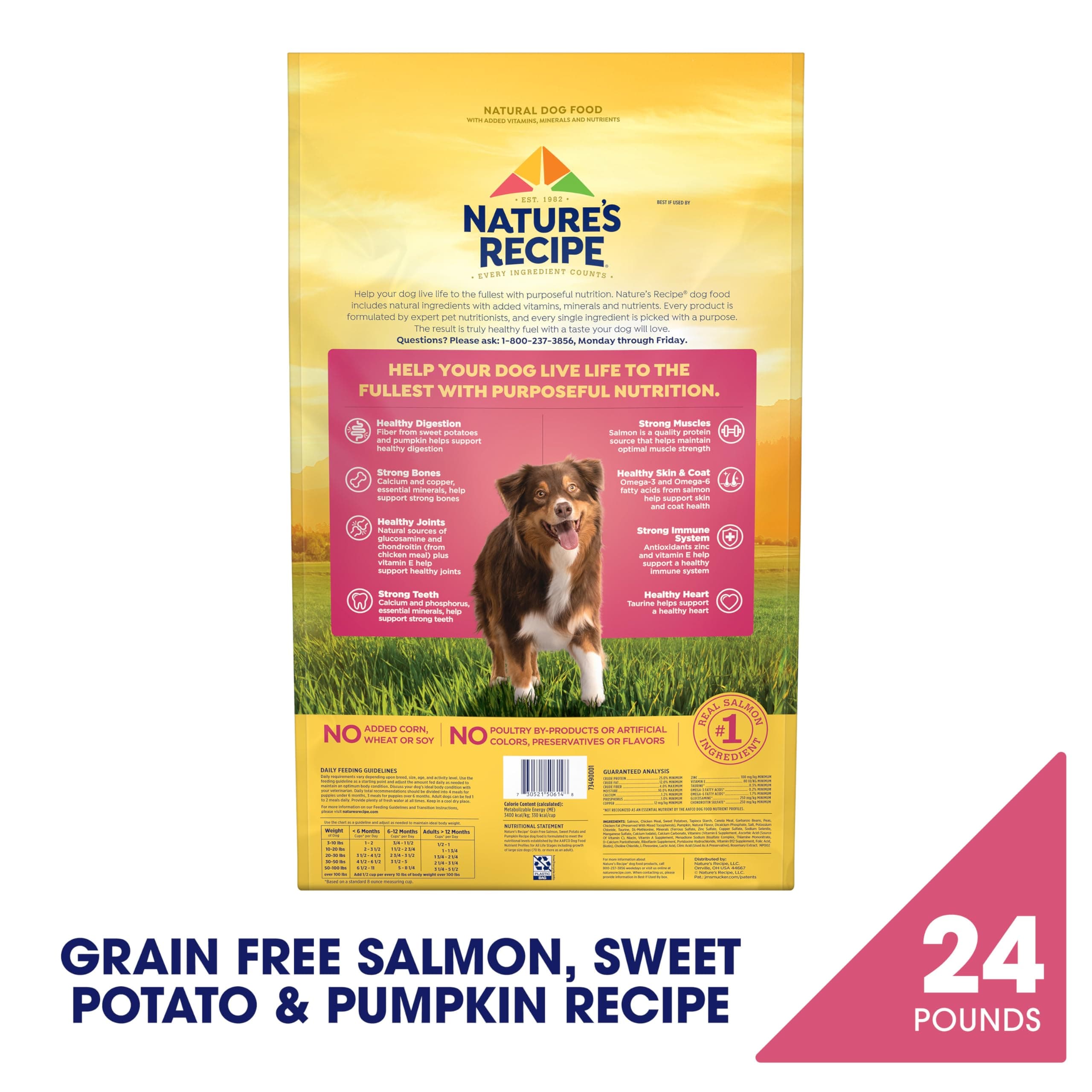Nature's Recipe Grain Free Salmon Dry Dog Food, 24 lb. Bag product image 2