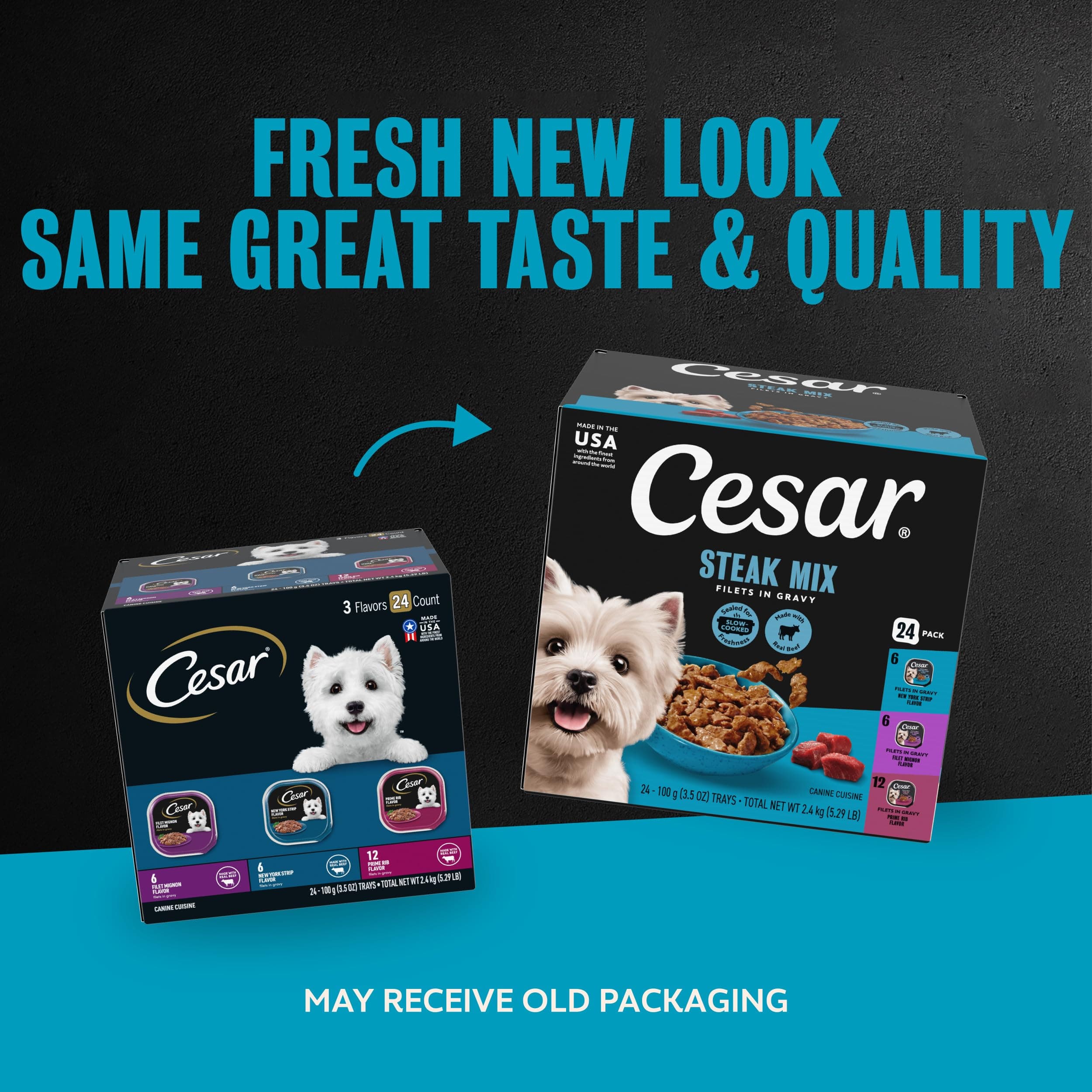 Cesar Filets in Gravy Wet Dog Food, Steak Mix Variety, 3.5 oz, 24 Count product image 2