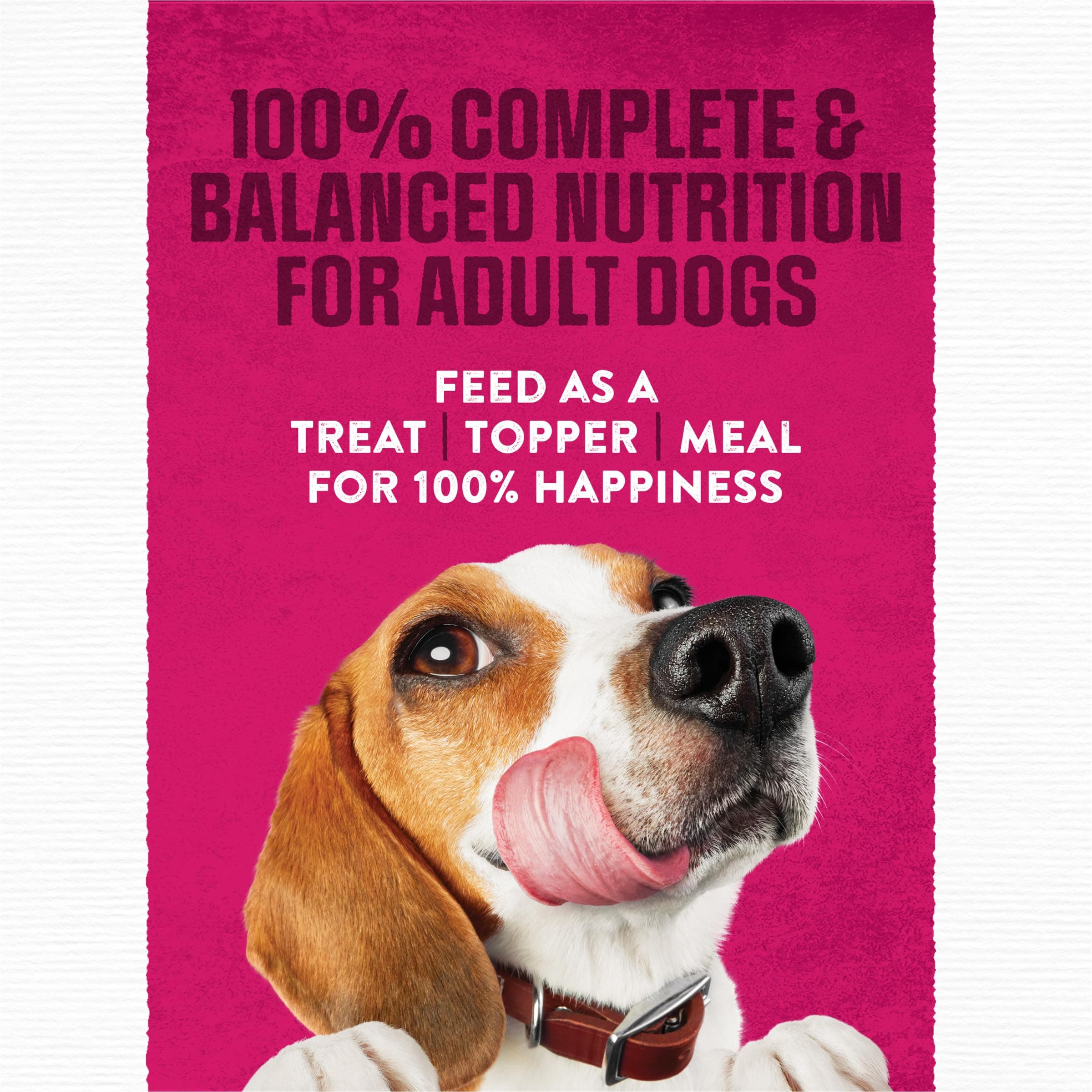 Purina Moist & Meaty Soft Dog Food Pouches, 36 ct product image 4
