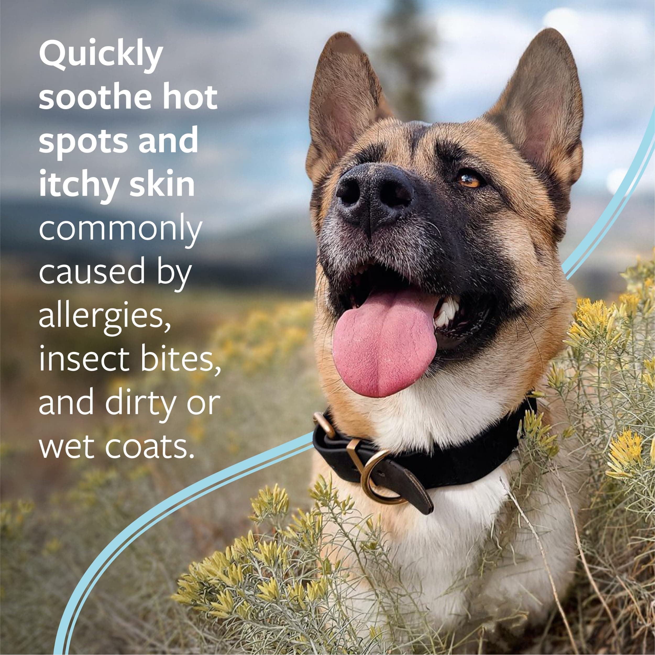 Veterinary Formula Clinical Care Hot Spot & Itch Relief Spray, Dogs & Cats product image 2