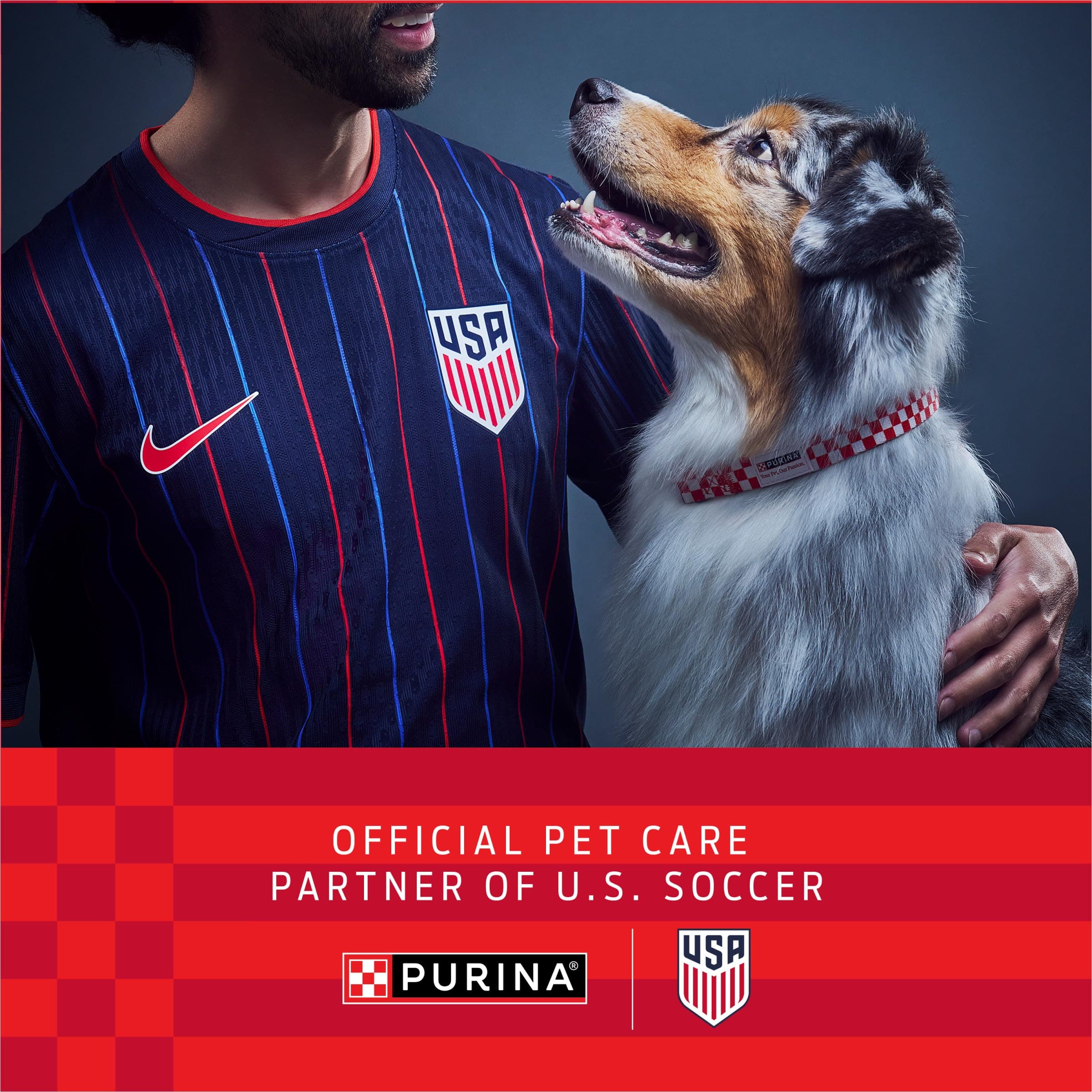 Purina ONE Wet Dog Food Variety Pack, Classic Ground, (6) 13 oz Cans product image 3