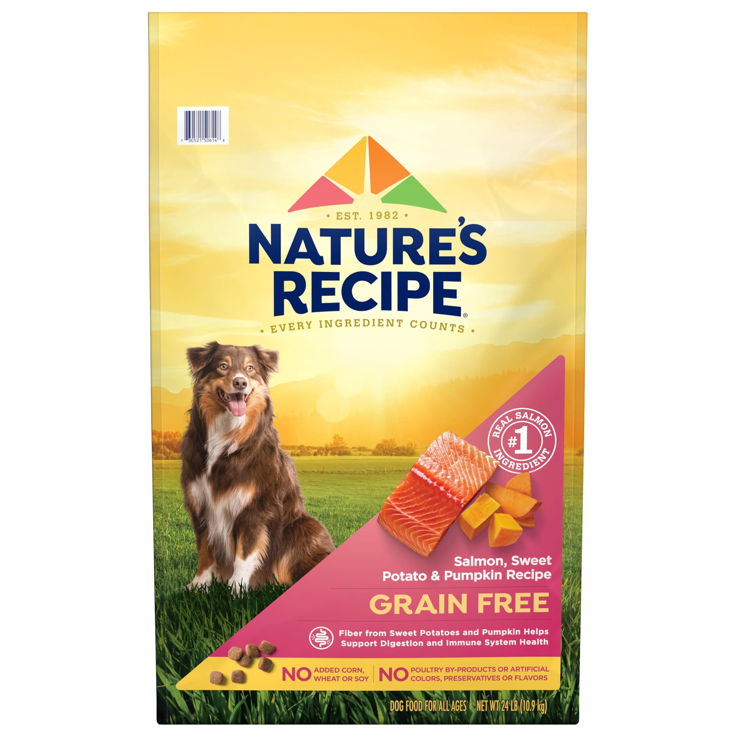 Nature's Recipe Nature's Recipe Grain Free Salmon Dry Dog Food, 24 lb. Bag