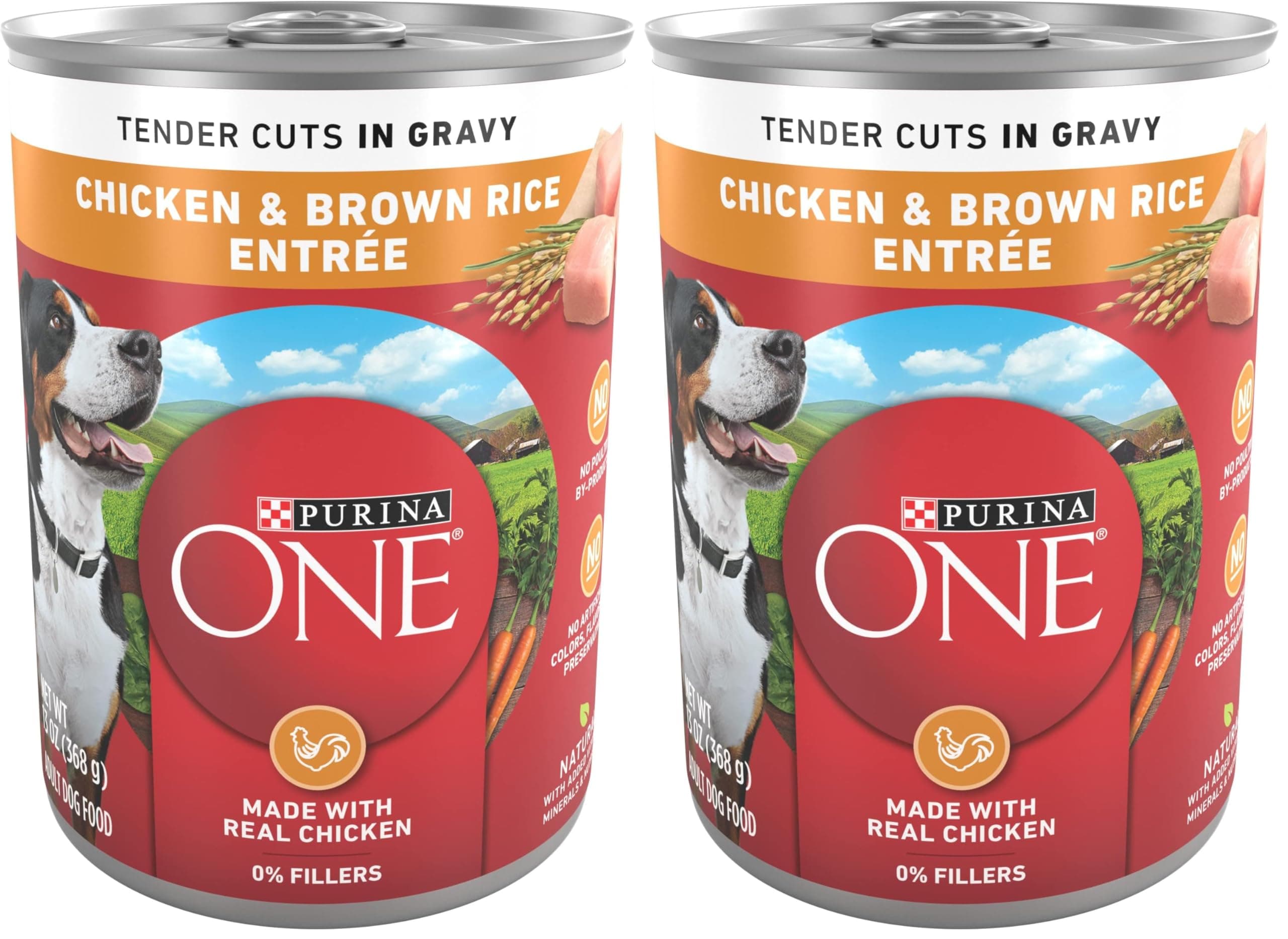 Purina ONE Purina ONE Natural High Protein Dog Food, Tender Cuts in Gravy Chicken and Brown Rice Entrée - 13 Ounce (Pack of 24)